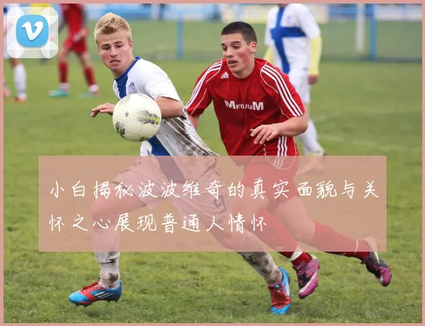 小白揭秘波波维奇的真实面貌与关怀之心展现普通人情怀