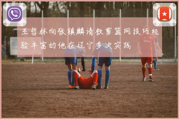 王哲林向张镇麟请教剪篮网技巧经验丰富的他在辽宁多次实践
